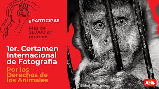 📸 Primer Certamen Fotográfico Documental por los Derechos de los Animales ¡Participa [upl. by Garling]