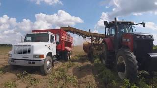 Potato Harvest 2019 [upl. by Miriam]