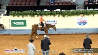 A Judges Perspective 2015 World Show Senior Western Pleasure [upl. by Andria]