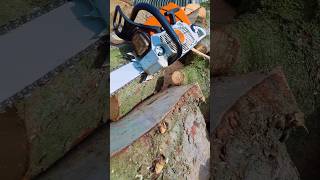 Stihl MS 661 C power ichundmeinholz foryou shortvideo chainsaw kettensäge work [upl. by Kenzie573]