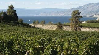 Explore British Columbia FarmtoTable in the Okanagan Valley [upl. by Margie]