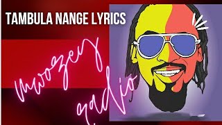 tambula nange lyrics video mwozey radio [upl. by Acirahs]