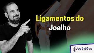 Ligamentos do joelho  José Góes [upl. by Madelena584]