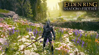 How to Get to Hinterland  Elden Ring Shadow of the Erdtree Location amp Guide [upl. by Eniger801]