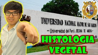 BIOLOGÍA FREE   HISTOLOGIA VEGETAL 💚🌿🍃 [upl. by Ldnek]