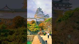 🇯🇵👍💐 travel aplaceinthesun [upl. by Pomfrey]