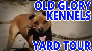 OLD GLORY Kennels  YARD TOUR [upl. by Latty761]