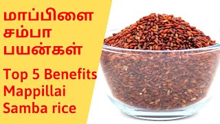 Top 5 Benefits மாப்பிளை சம்பா அரிசி பயன்கள்  Red Rice Benefits [upl. by Britta]