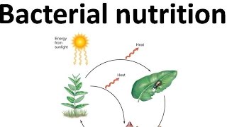 Autotroph heterotroph chemolithotroph etc [upl. by Ailisab812]