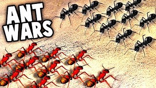 RED ANTS vs BLACK ANTS HUGE Ant Surface INVASION Empires of the Undergrowth Part 2 Gameplay [upl. by Noemis]