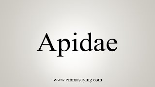 How To Say Apidae [upl. by Neal]