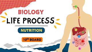 Life Process  Nutrition  L 2  Biology  X Board ncert kota [upl. by Cherilynn249]