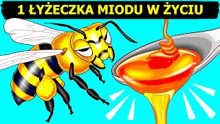 Jak i dlaczego pszczoły robią miód i inne zastanawiające fakty o pszczołach [upl. by Panther]