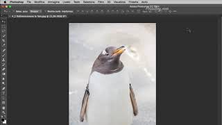 42 Ridimensionare le foto con Photoshop [upl. by Giusto269]