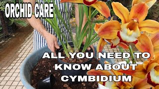 A Comprehensive Cymbidium Culture and Flowering Guide [upl. by Akilak526]