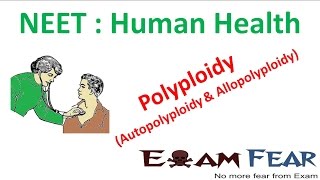 NEET Biology Human Health  Polyploidy autopolyploidy and Allopolyploidy [upl. by Dustie16]