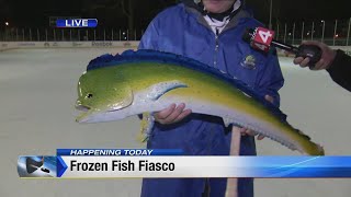 Frozen Fish Fiasco takes over Clark Park [upl. by Head521]