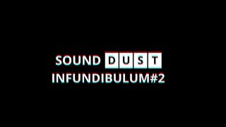 SoundDust INFUNDIBULUM2 talkthrough [upl. by Kcod217]