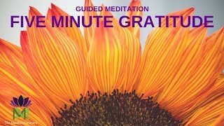 5 Minute Guided Meditation for Gratitude  Mindful Movement [upl. by Beutler]