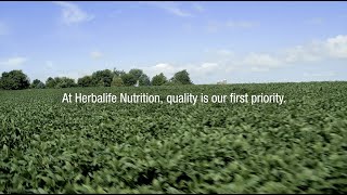 Herbalifes Gold Quality Standards  Herbalife Nutrition [upl. by Bolme948]