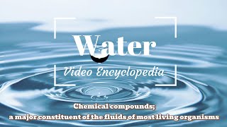 Water  A major constituent of the fluids of most living organisms Video Encyclopedia [upl. by Einahpehs]