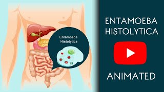 Entamoeba Histolytica in Easy Animated  Microbiology [upl. by Alyakem666]