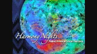 Harmony Nights  Southern Man [upl. by Aenil712]