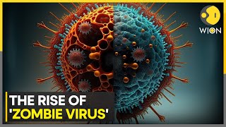 Scientists sound alarm for potential outbreak of Zombie Virus  WION [upl. by Lirbaj]