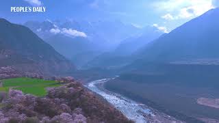 Spring scenery of the Yarlung Tsangpo Grand Canyon in SW Chinas Xizang [upl. by Sergeant37]