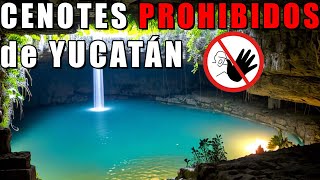 Cenotes prohibidos  Viajando con Memo [upl. by Ximenez]