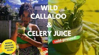 HOW TO CALLALOO AND CELERY JUICE RECIPE  COLD PRESSED GREEN JUICE  RAW VEGAN  BLISSFUL KITCHEN [upl. by Rezzani]