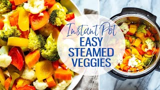 Vegetable Steamed Omelette in Instant Pot  Busy Bees [upl. by Weaver]