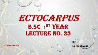 Plant Biodiversity Ectocarpus [upl. by Teews803]