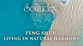 Dan Gibson’s Solitudes  Yin and Yang  Feng Shui Living in Natural Harmony [upl. by Inalaehon253]