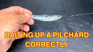 Simple and Correct method to attach a Pilchard or Half Pilchard to your hook [upl. by Rrats]