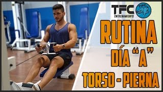 CÓMO PLANIFICAR UNA RUTINA DE TORSOPIERNA PARTE 1  The Fit Club [upl. by Atiuqel734]