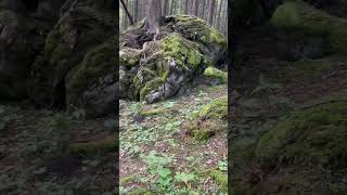 Wanderung auf den Wendelstein in Bayern mit meinem Bruder Part 3 wandern wanderlust bayern [upl. by Reviere238]