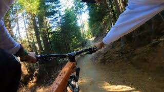 McNearlyGnarly Queenstown MTB POV 4K [upl. by Legnaleugim]