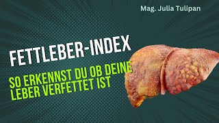 Fettleber erkennen mit dem Fettleber Index [upl. by Llennod]