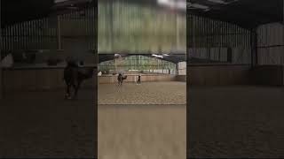 Charlotte Dujardin Horse Video  Charlotte Dujardin Error Video  Charlotte Dujardin Video shorts [upl. by Yardna]