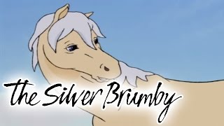 The Silver Brumby 101  Friends of the High Country HD  Full Episode [upl. by Leunamesoj600]