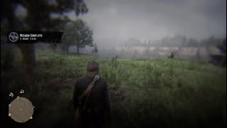 Best Rdr2 mission [upl. by Caton413]