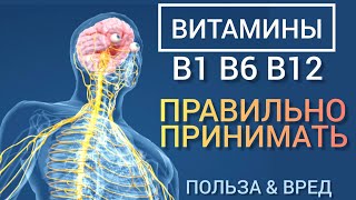 Витамины В1 В6 В12 l Польза и Вред l Ответы на вопросы l Самое главное l Vitamins B  Benefits [upl. by Ishii]