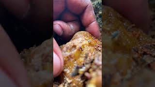 Got a Huge Crystal From Old Mine 💎🤑😲gems gold crystals satisfying nature shorts trending [upl. by Cerellia]