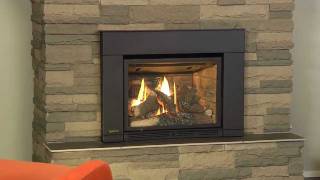 Regency Liberty L234 Small Gas Insert [upl. by Artinad542]