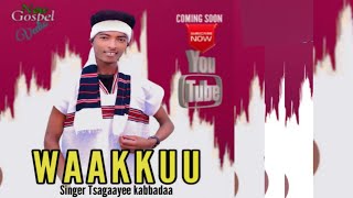 Waakkuu Singer Tsagayee Kabbadaa Faarfanna Afaan Oromoo Haraa New Gospel Music [upl. by Ahsinot]