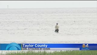 Shark Attacks in Florida What You Need to Know About the Recent Incidents in Volusia County [upl. by Arihsay]