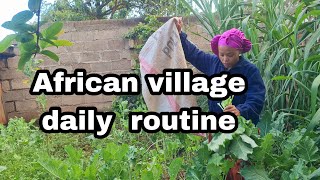 A DAY IN AN AFRICAN VILLAGE IN KENYA ROUTINE 🇰🇪ILLASITLOITOKTOKKAJIADO [upl. by Hales]