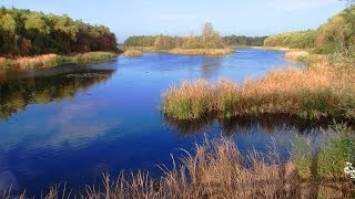 Sopron Fertöto Neusiedlersee [upl. by Yak]