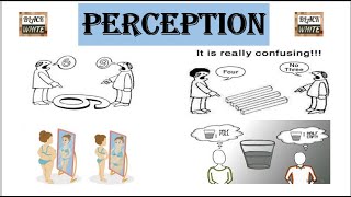 Perception  Meaning in different means  Process of Perception  Smart Education [upl. by Mixie]